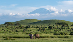 Mount Kilimanjaro