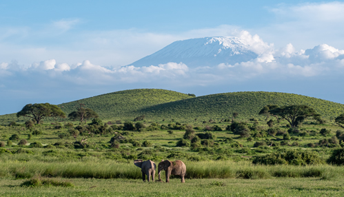 Information about Mount Kilimanjaro