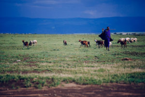 Ngorongoro Crater in Tanzania