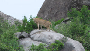 Serengeti National Park