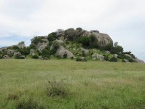 Serengeti National Park in Tanzania