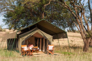 Serengeti National Park Tanzania