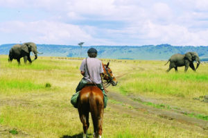 Activities to do in the Masai Mara