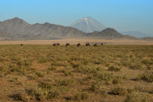 Activities in Ngorongoro Crater