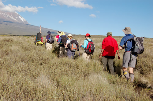 Hiking Mount Kilimanjaro