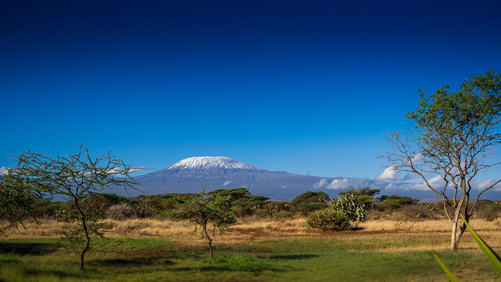 Hiking Mount Kilimanjaro 