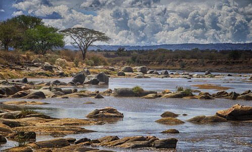Things to do in Maasai Mara National Reserve