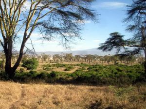 Things to do in Ngorongoro Conservation Area