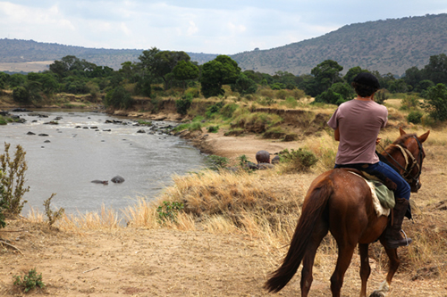 Things to do in Maasai Mara National Reserve Kenya