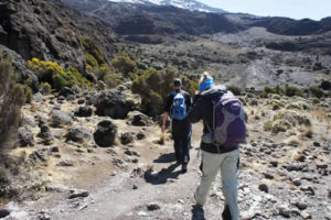 Trekking Mount Kilimanjaro