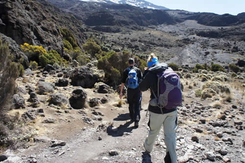 Climb Mount Kilimanjaro