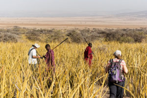 Best things to do in Serengeti National Park