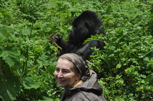 Photographing Gorillas in Uganda