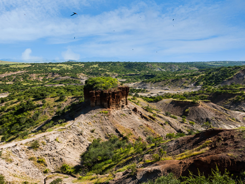 Things to do in Serengeti National Park