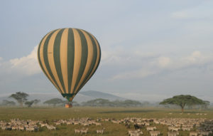 Best things to do in Serengeti
