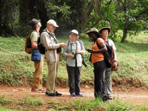 Filming gorillas in Uganda