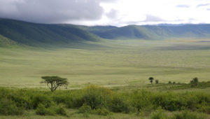 Top things to do in Serengeti National Park