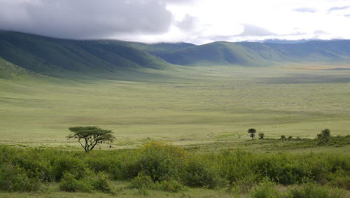 Top things to do in Serengeti