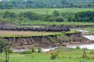 What to do in Serengeti National Park