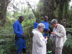 How much to tip for gorilla trekking