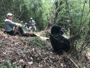 Tipping advice for tourists during a gorilla safari