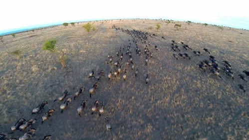 Using Drones in Rwanda and Uganda