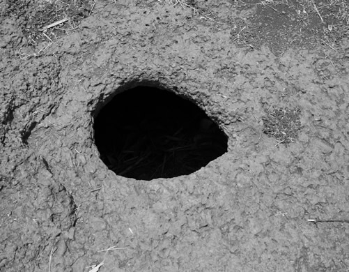 Historical sites in Rwanda