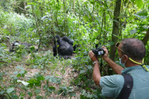 Activities in Congo