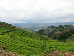 Activities in Rwanda