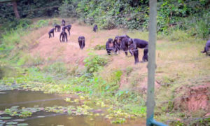 Congo tourism attractions