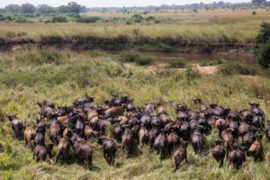 List of game parks in Congo