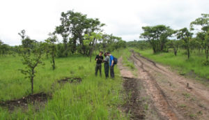 National Parks in the Democratic Republic of Congo