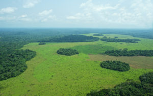 Top game parks in Congo