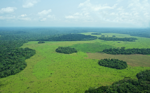 Top game parks in Congo
