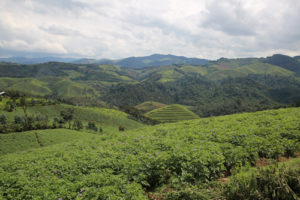 Top things to do in Ruanda