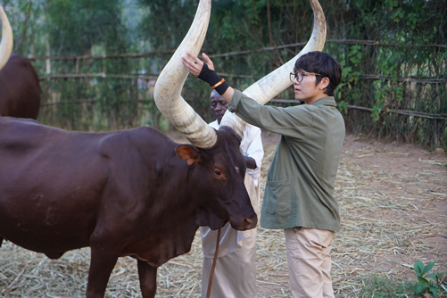 Top tourist attractions in Rwanda