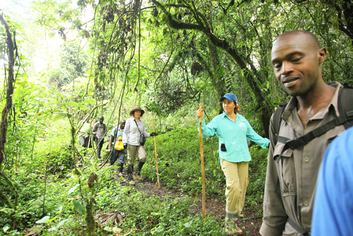 1 Day gorilla safari in Uganda