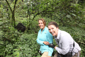 1 day gorilla trekking in Bwindi