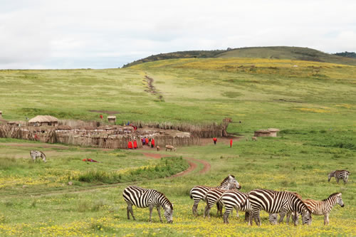 Cultural safari in Tanzania