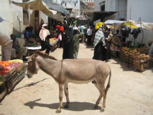 Cultural tourism in Kenya