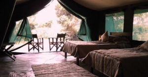 2 Day Masai Mara Camping Safari Tour