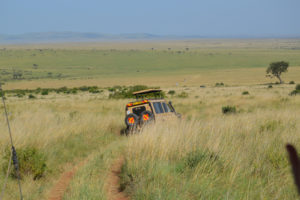 2 days 1 night Maasai Mara safari