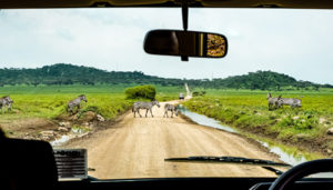 2 Days Serengeti Safari Tanzania