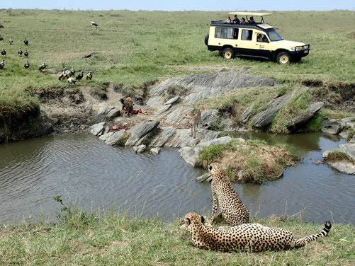 2 Days Masai Mara Safari