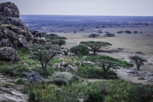 2 Days Serengeti tour