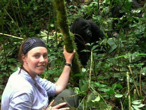 Discounted gorilla permits in Uganda