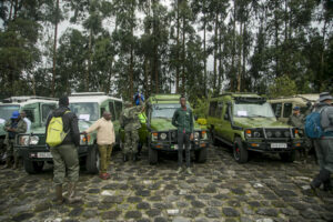 Gorilla Tourism in Rwanda and Uganda