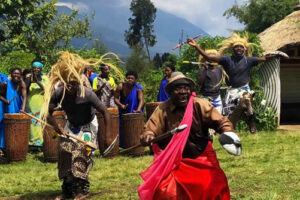 Gorilla Tourism in Uganda and Rwanda