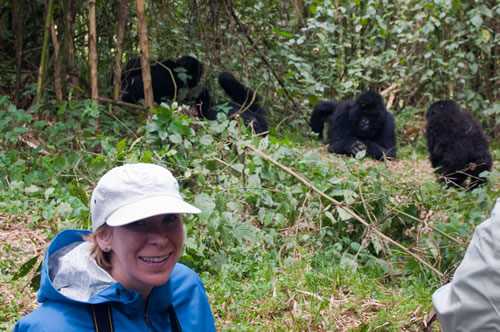 Gorilla Trekking on a Budget