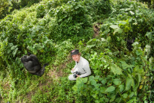 Benefit of Gorilla Trekking